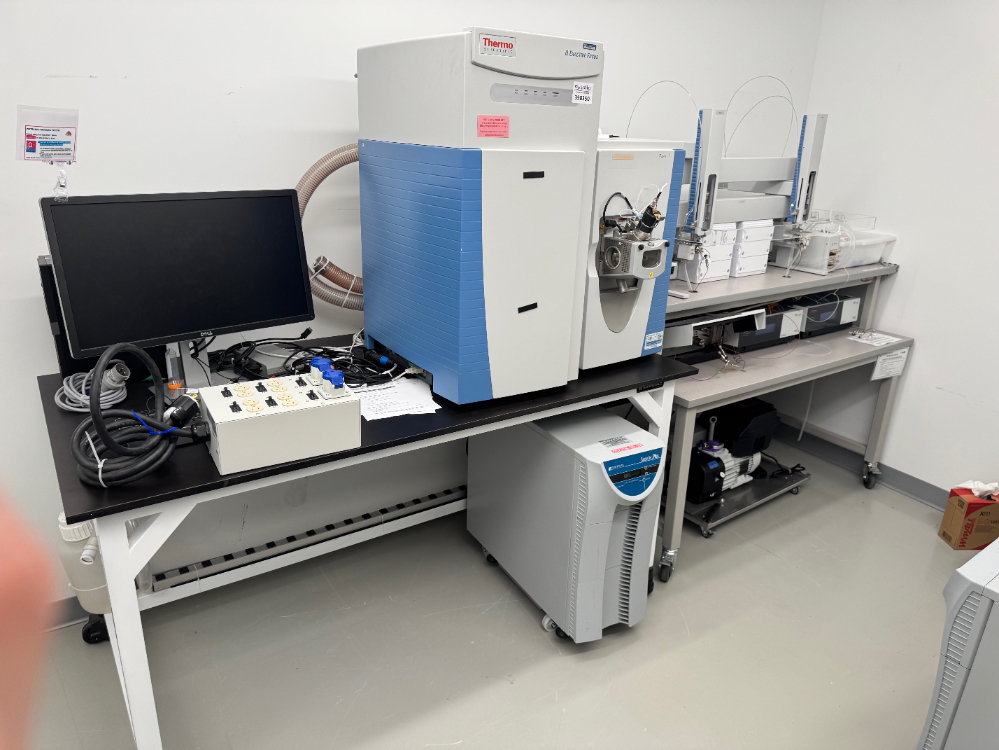 Image of Thermo Q Exactive Focus LC/MS System